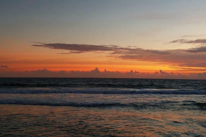 Bentota Coastal Escape: Beaches, Madu River Safari & Turtle Hatchery Day Trip photo 3
