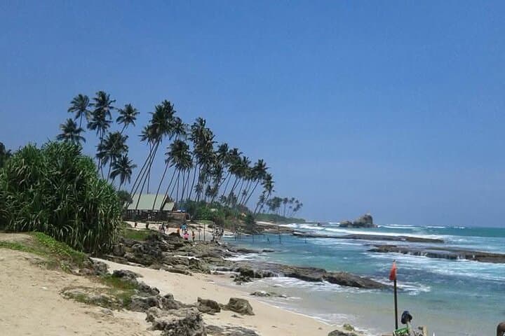 Bentota Coastal Escape: Beaches, Madu River Safari & Turtle Hatchery Day Trip photo 6