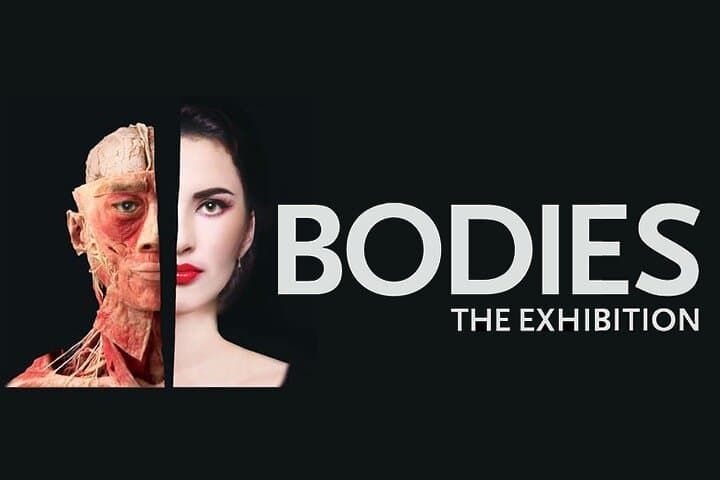 Inside Bodies The Exhibition at Luxor Las Vegas — Anatomy Exhibit Visitor Guide photo 1