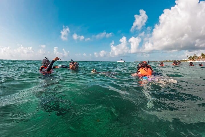 Akumal Snorkeling With Turtles: Ethical, No-Boat Marine Encounters in the Riviera Maya photo 3