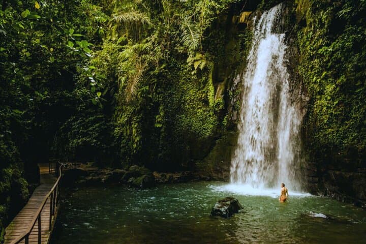 Ubud Zipline, Jungle Swing & Waterfall Tour — Zip Through Bali's Rice Terraces photo 3