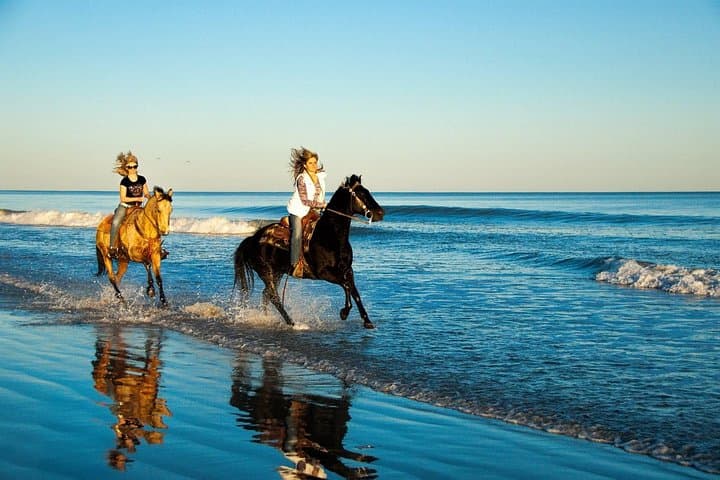 Ride the Shore, Soar Over Rice Fields: Bali Ubud Zipline and Beach Horse Ride photo 1