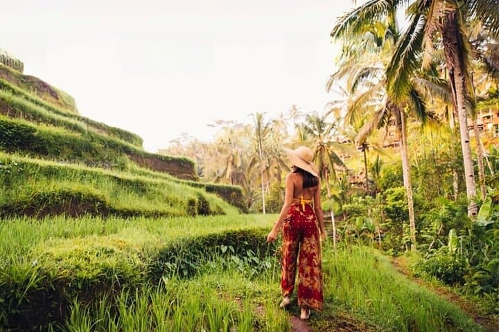Half-Day Ubud Rice Terrace Tour with Waterfall, Swing and Zipline photo 4