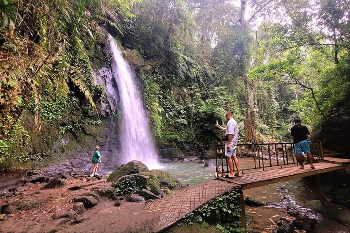 Half-Day Ubud Rice Terrace Tour with Waterfall, Swing and Zipline photo 3