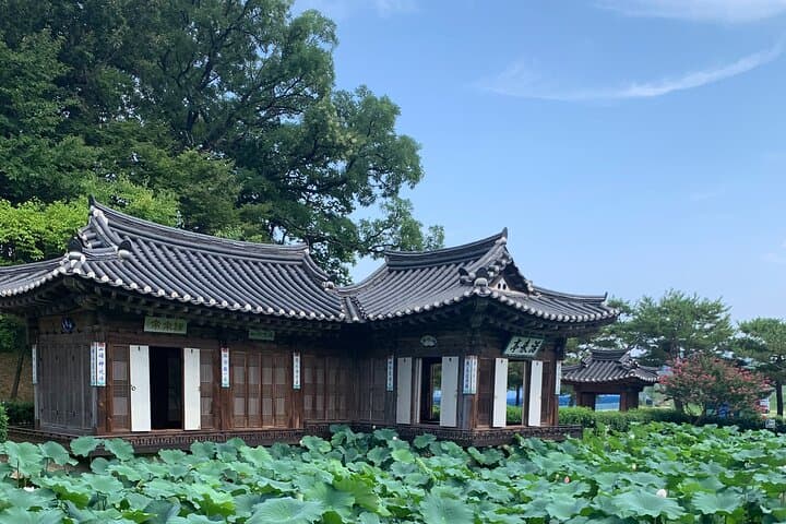 Day Trip from Seoul to Gangneung — East Coast Beaches, Hanok Heritage & Mountain Retreat