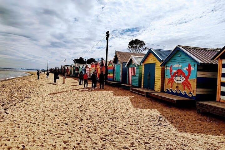 Discover Melbourne and Wildlife Wonders at Moonlit Sanctuary