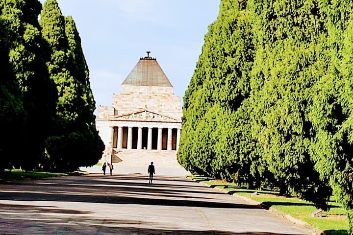 Discover Melbourne and Wildlife Wonders at Moonlit Sanctuary photo 6