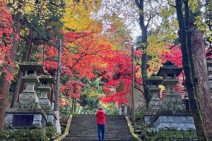 Hakone Private Hiking: Certified Guide, Forest Bathing & Onsen Day Hike