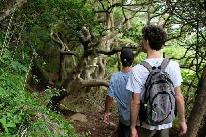 Hakone Private Hiking: Certified Guide, Forest Bathing & Onsen Day Hike photo 5
