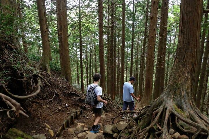 Hakone Private Hiking: Certified Guide, Forest Bathing & Onsen Day Hike photo 6