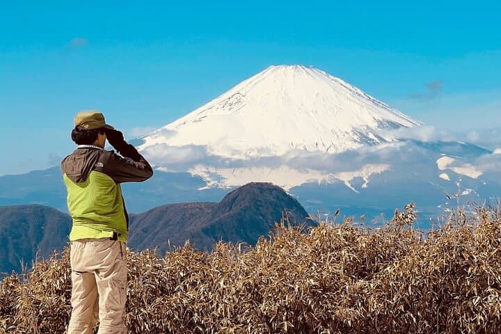 Hakone Private Hiking: Certified Guide, Forest Bathing & Onsen Day Hike photo 4