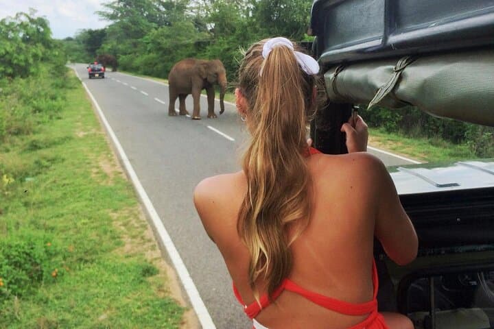 Arugam Bay to Yala Safari and Colombo Shuttle: Full-Day Wildlife Drive photo 1