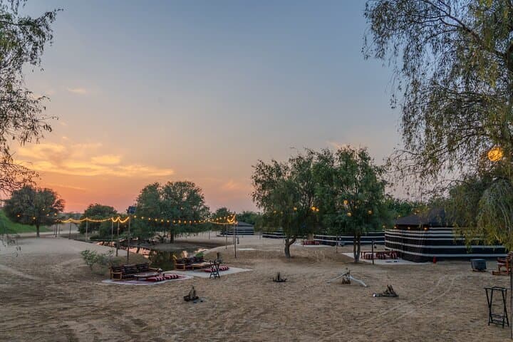 Dubai Night Desert Safari with Camel Ride, Sandboarding & Stargazing photo 2