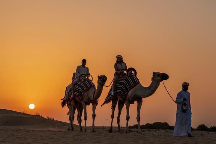 Dubai Night Desert Safari with Camel Ride, Sandboarding & Stargazing photo 3