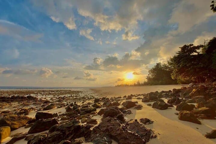 Phi Phi Early-Bird Speedboat Tour from Krabi — Phi Phi & 4 Islands Day Trip photo 2