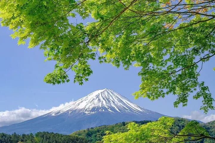 Private Mt Fuji Day Trip from Tokyo with English-Speaking Driver