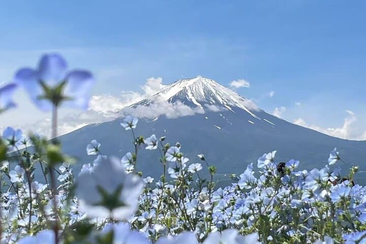 Private Mt Fuji Day Trip from Tokyo with English-Speaking Driver photo 2