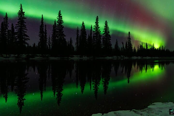 Half-Night Aurora Chase and Photography Near Fairbanks photo 3