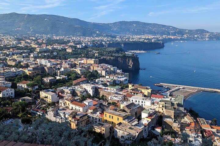 Private transfer from Naples to Sorrento with 2-hour Pompeii tour photo 5