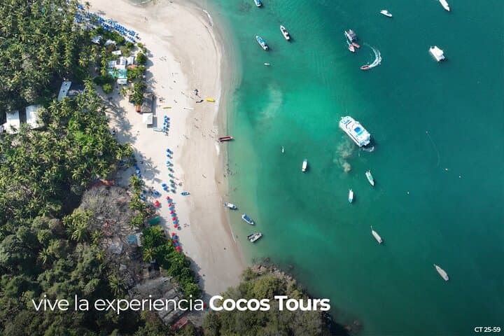 Tortuga Island Day Trip from Puntarenas: Snorkel, Dolphins & Spider Monkeys photo 3
