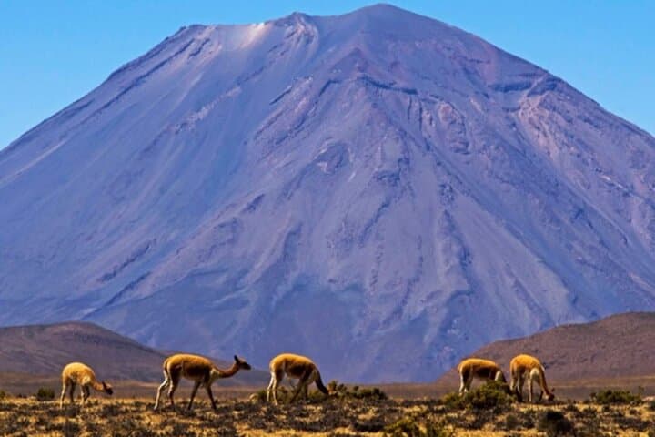 Arequipa Falls and Puruña Rock Forest Day Tour from Arequipa photo 6