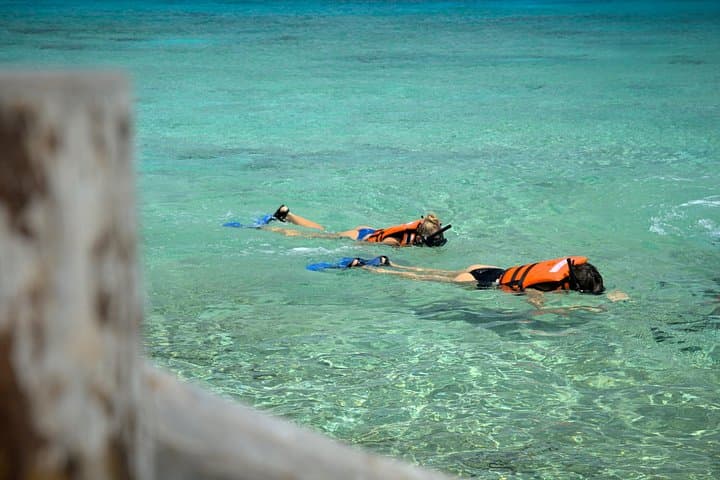 Cozumel Buggy and Snorkel: Full-Day Coastal Off-Road Adventure photo 5