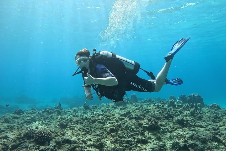 Try Scuba Diving at Electric Beach, Oahu — Kahe Point Intro Dive with Photos