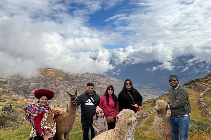 Alpaca Walk Over the Sacred Valley: Machuqolqa Alpaca Trek from Cusco