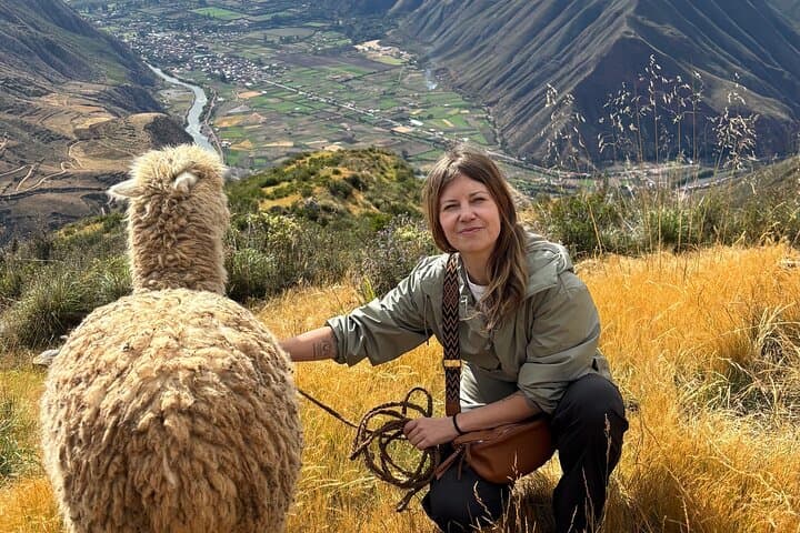 Alpaca Walk Over the Sacred Valley: Machuqolqa Alpaca Trek from Cusco photo 3