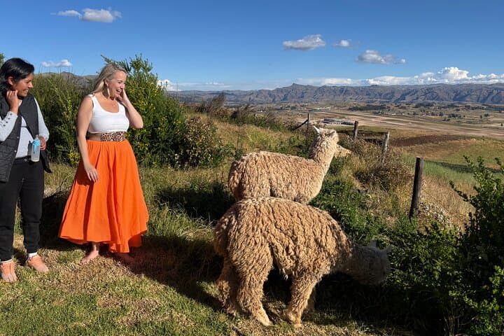 Alpaca Walk Over the Sacred Valley: Machuqolqa Alpaca Trek from Cusco photo 4