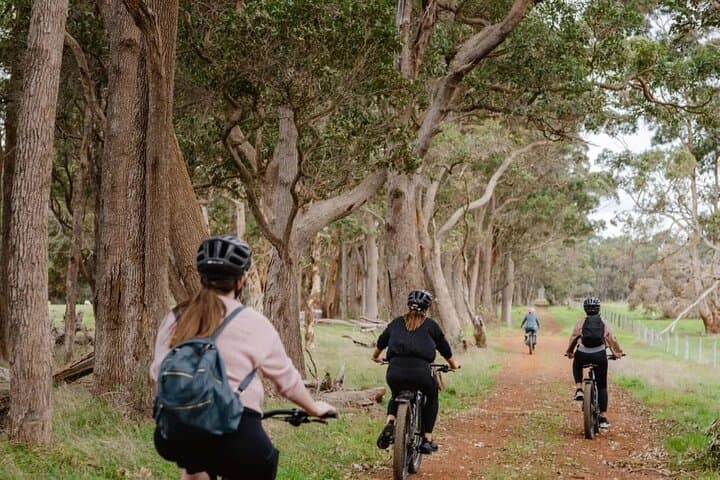Wadandi Track Half-Day E-Bike: Cowaramup to Witchcliffe Scenic Ride photo 2