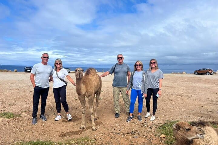 Tangier Full-Day Guided Tour from Cruise Ship — Cap Spartel, Hercules Caves & Medina photo 4