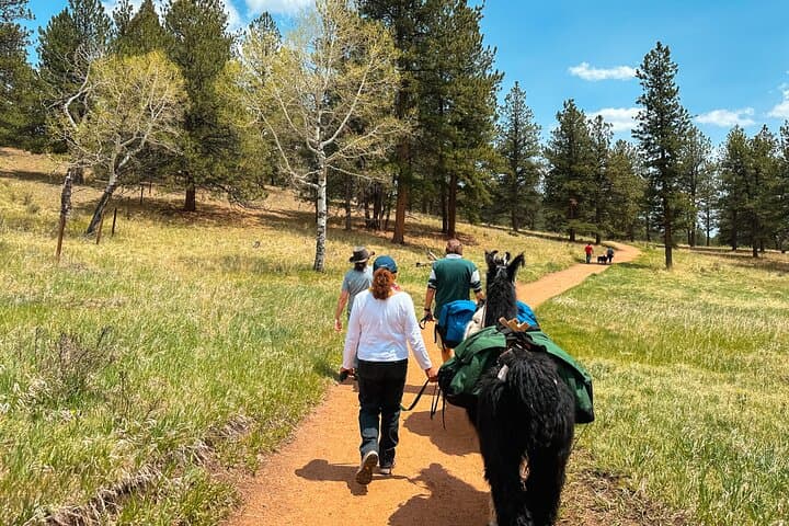 Llama Lunch in Staunton State Park — Guided 3‑Mile Picnic Hike with Llamas photo 3