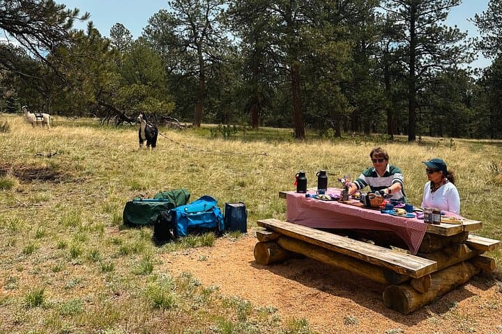 Llama Lunch in Staunton State Park — Guided 3‑Mile Picnic Hike with Llamas photo 2