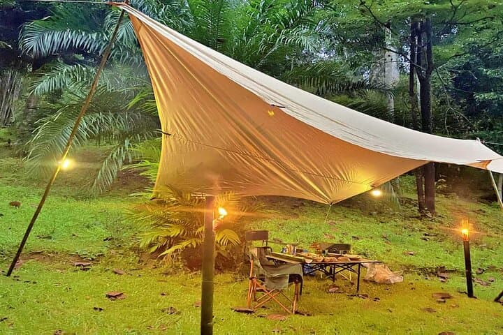 Khao Sok Half-Day Jungle Escape: Sunset Trek, Waterfall Swim & Night Walk