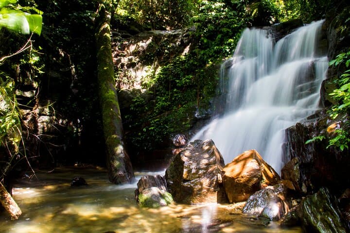 One-Day Bukit Lawang Orangutan Trek from Medan — Gunung Leuser Jungle Adventure photo 4