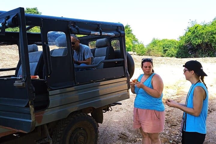 Sigiriya Lion Rock & Dambulla Cave Temple Day Tour: Climb, Caves & Cultural Highlights photo 4