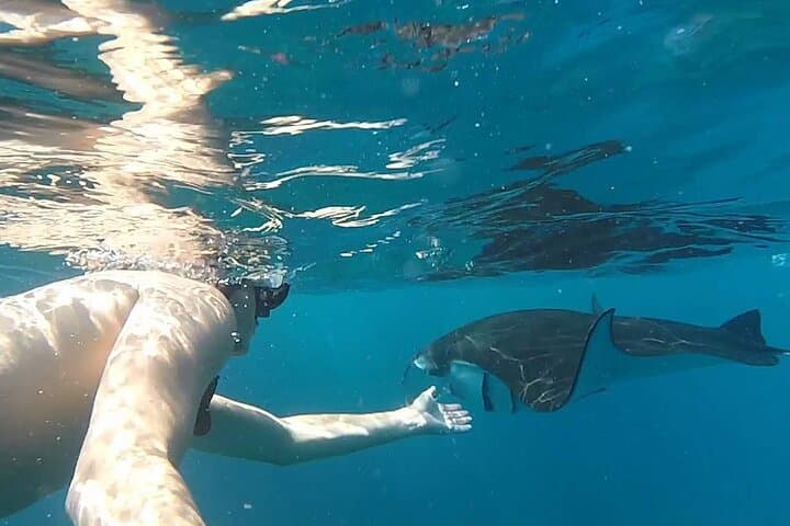 Snorkel with Manta Rays at Manta Point & Gamat Bay, Nusa Penida