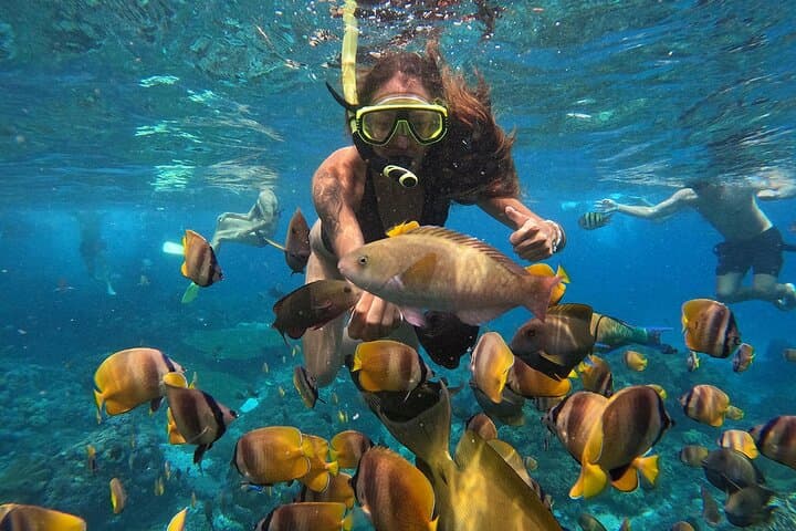 Snorkel with Manta Rays at Manta Point & Gamat Bay, Nusa Penida photo 5