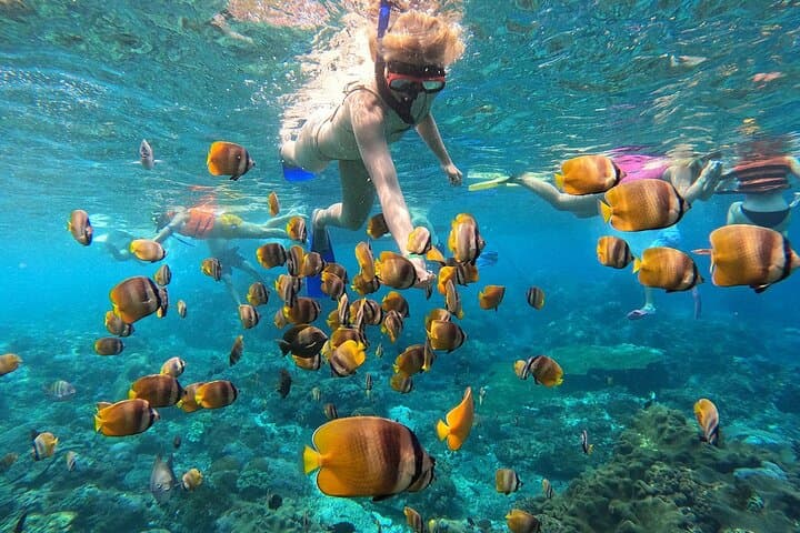 Snorkel with Manta Rays at Manta Point & Gamat Bay, Nusa Penida photo 6