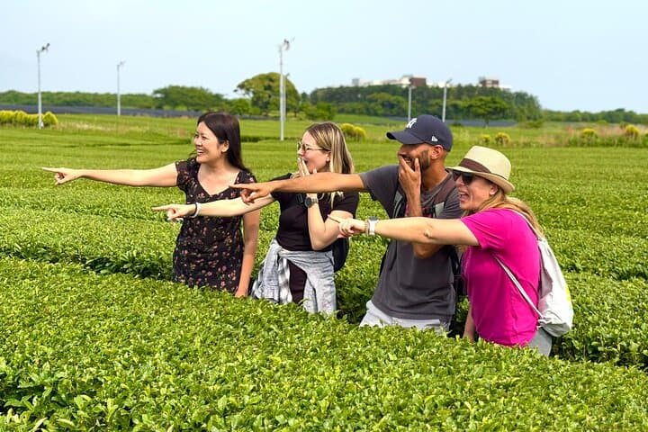 West Jeju Healing Day Tour: Gotjawal Forest, Caves & Dolphin Watching photo 5