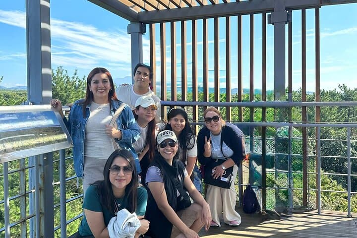 West Jeju Healing Day Tour: Gotjawal Forest, Caves & Dolphin Watching photo 3