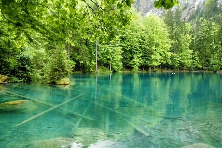 Blausee Express: Quick Scenic Tour from Interlaken to Blue Lake
