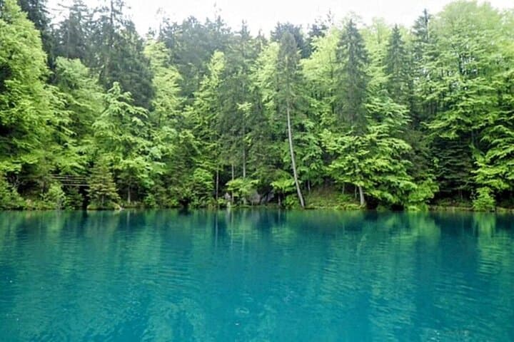 Blausee Express: Quick Scenic Tour from Interlaken to Blue Lake photo 5