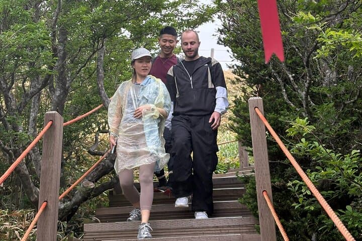 Healing South Jeju: Mt. Halla Hike, Jusangjeolli & Oedolgae Day Tour photo 6