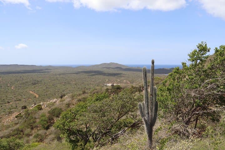 Bonaire North Side Discovery Tour: 1000 Steps, Flamingos & Rincon photo 2