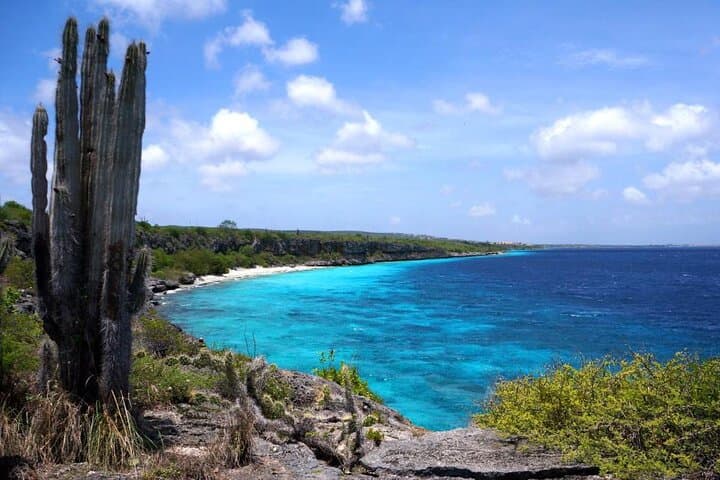 Bonaire North Side Discovery Tour: 1000 Steps, Flamingos & Rincon photo 5