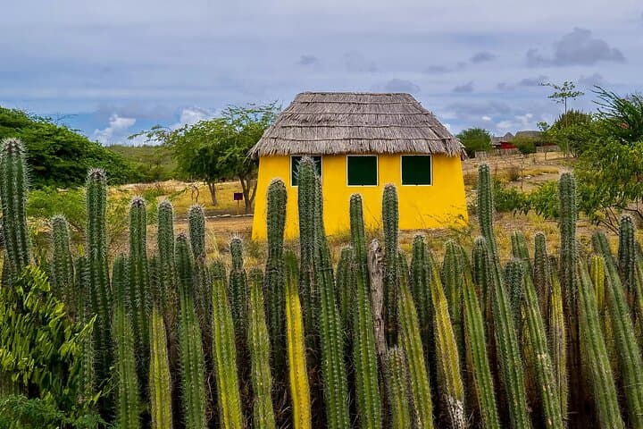 Bonaire North Side Discovery Tour: 1000 Steps, Flamingos & Rincon photo 6