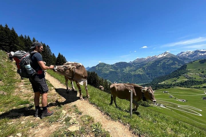 Private Swiss Alps Hike with Local Mountaineer on Pilatus & Stanserhorn photo 4