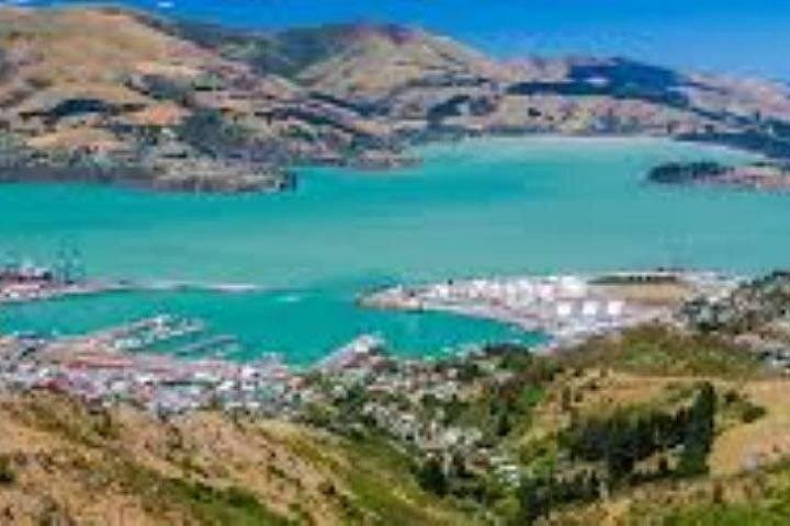 Christchurch City Sights: Antarctic Centre, Riverside Markets & Sumner Beach Tour photo 3